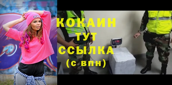 ешки Мегион