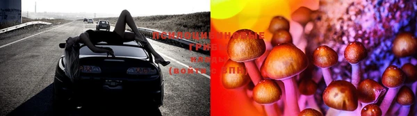 бошки Медногорск