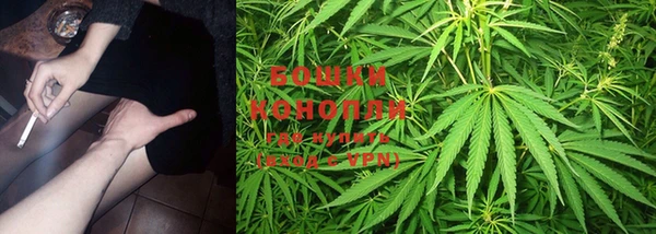 бошки Медногорск